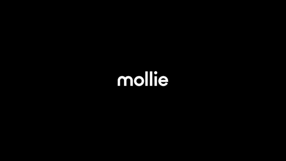 Paytech Mollie promotes Koen Köppen to CEO