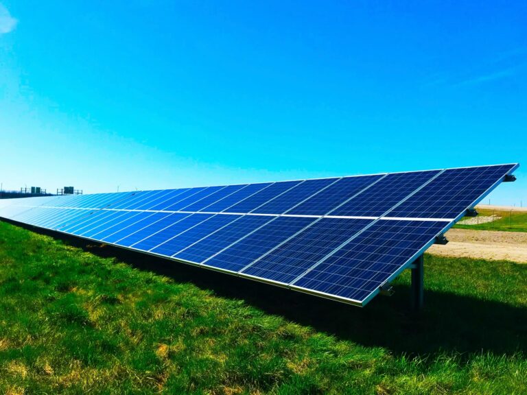 Nearly half of UK citizens unable to make sustainable choices