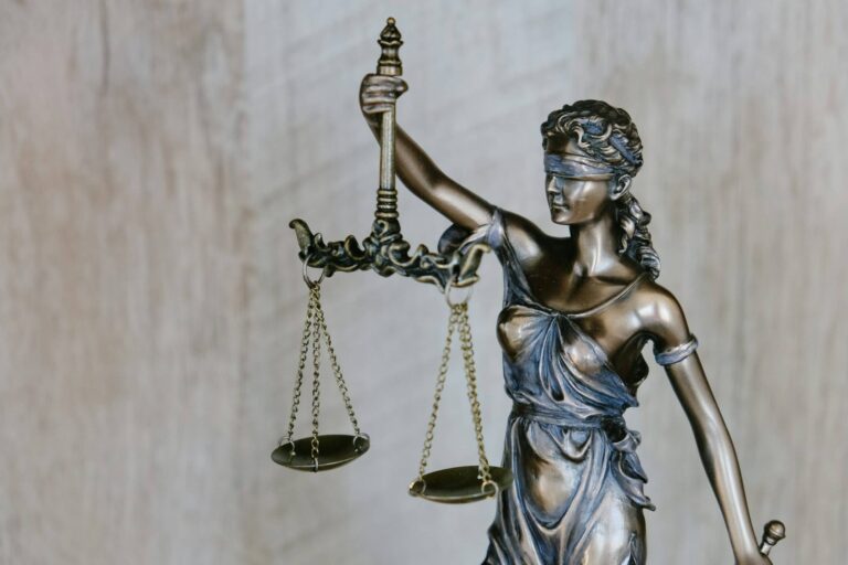 PayFuture appoints Sanda Laicena as group chief legal officer
